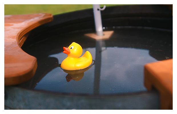 Eine gelbe Badewannenente schwimmt im Wasser.