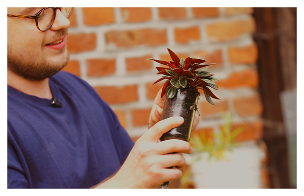 Eine Pflanze in einem Glas wird in der Hand gehalten