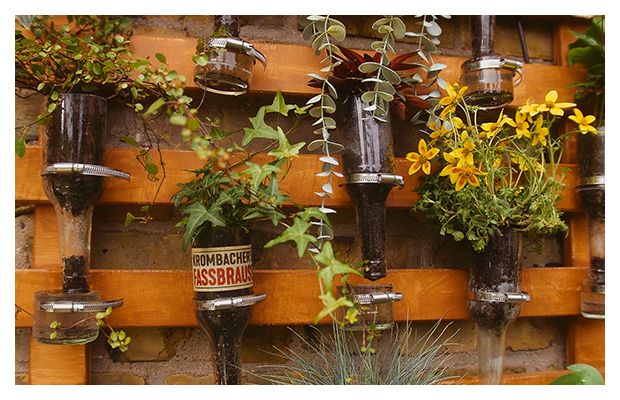 Flaschen als Blumentopf mit Blumen hängen an einer Holzwand