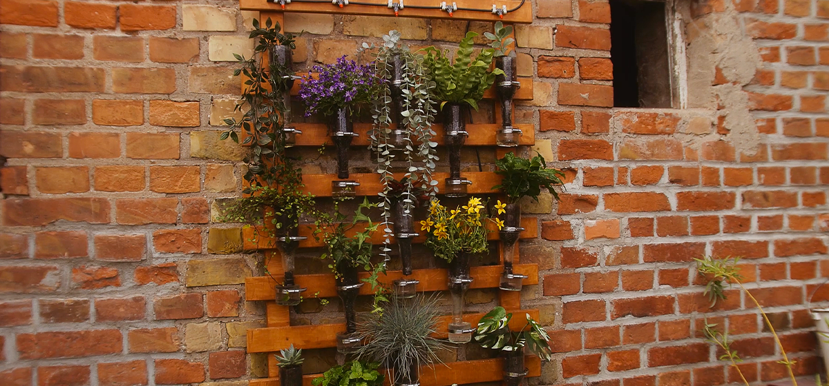 Backsteinwand mit Holzbrett, welches viele verschiedene Blumentöpfe mit Pflanzen trägt. Hängepflanzen