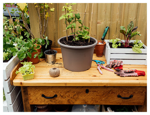 Topf mit Erde auf einer Werkbank mit Pflanzen