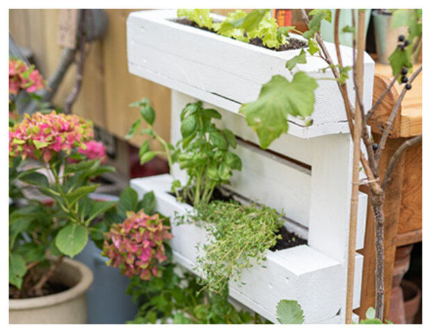 Eine weiße Palette mit integrierten pflanzen