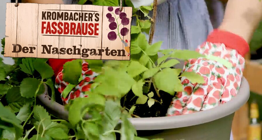Krombacher's Fassbrause - Mach auf für deinen Naschgarten Krombacher's Fassbrause - Mach auf für deinen Naschgarten